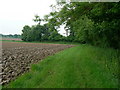 Footpath & Farmland