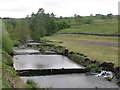 Small weirs on the River East Allen near Tedham Green