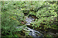 The Afon Castell in Ponterwyd