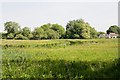 Looking across Chilbolton Common from Test Way footpath