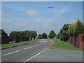 A view of Woodlands Road, stretching into the distance