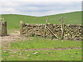 SE0655 : Gateway to the next pasture, Bolton Abbey estate by Peter Church