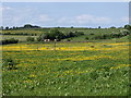 Pasture, Castlehill