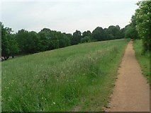 TQ3090 : Alexandra Palace Park: path through long grass by Chris Downer