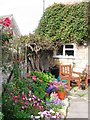 A quiet corner of a Cotswold garden in Winchcombe