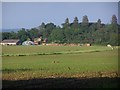 Private airstrip, Pauncefoot Farm