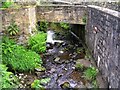 Stream - end of Alma Lane