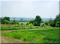 ST7754 : 2008 :Corner of a wheat field near Peart Farm by Maurice Pullin