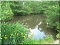 Highcliffe: Nea Lake