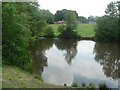 Highcliffe: Nea Meadows from across lake