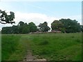 Highcliffe: Nea Meadow