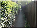 Alley looking towards Constitution Hill