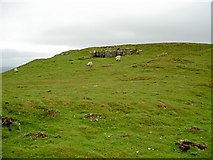 SD8492 : A rock outcrop on Little Fell by Ian Greig