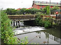 River Wandle: The Causeway weir