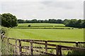 Fields of Littleton Stud farm