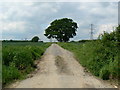 SU6559 : Farm Track - west of Minchens Lane by Mr Ignavy