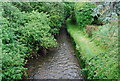 Frogmore stream, east of the bridge at Frogmore