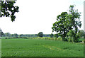 Arable Land near Shipley, Shropshire