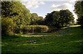 Old Mill Pond, near Horsforth, Leeds