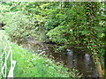 The Clywedog between Cyffylliog and Bontuchel