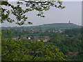 View from Beaumont Park