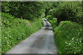 Country lane near Cwmbach Llechrhyd