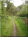 Bridleway in Mad Bess Wood