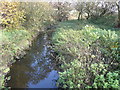 North Wingfield Nature Reserve