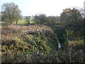 North Wingfield Nature Reserve