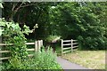 Footpath down the old road