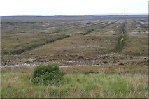F8521 : Former peat extraction - industrial scale - Muingnahalloona Townland by Mac McCarron