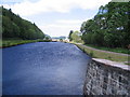 NR8291 : Downhill from lock no. 10, Crinan Canal by E Gammie