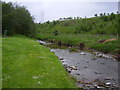 The River Teviot