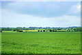 2008 : Farmland between Little Chalfield and Wraxall