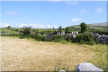 M2808 : Farmland near Corcomroe Abbey - Abbey West Townland by Mac McCarron