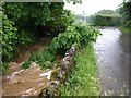 Am Brook at Poole Cross