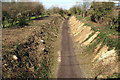 Meon Valley Trail