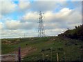 Electricity pylon