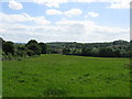 Hope End Farm - grassland