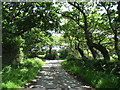 Approaching the end of the tarred section of the road