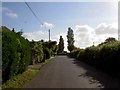 Bin day on Earthcott Road