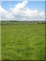 Pasture at Treverva