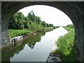 N2459 : Royal Canal in Westmeath, Near Abbeyshrule, Co. Longford by JP