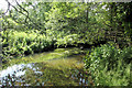 River Wissey at Home Lane