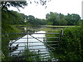 Flooded fields beside River Blackwater