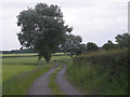 Access road to Cheswell Grange