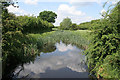 Nottingham Canal Nature Reserve