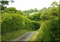 2008 : Blind lane near Upper Weston, Bath