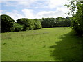 Farmland near Llanfynydd.