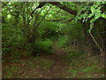 Footpath just off Cymau Lane